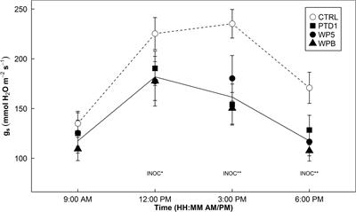 Salicaceae Endophytes Modulate Stomatal Behavior and Increase Water Use Efficiency in Rice